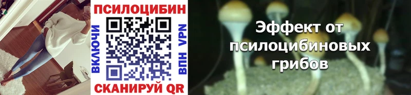 blacksprut онион  Бахчисарай  Галлюциногенные грибы Magic Shrooms 